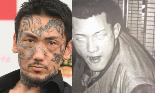 安化黑砖茶的功效网- 安化黑砖茶的功效与作用知识,分享安化黑茶的功效作用与主治