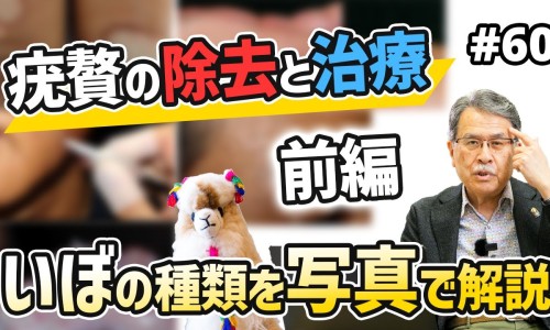 安化黑茶的功效作用与主治-安化黑砖茶的功效网- 安化黑砖茶的功效与作用知识,分享安化黑茶的功效作用与主治